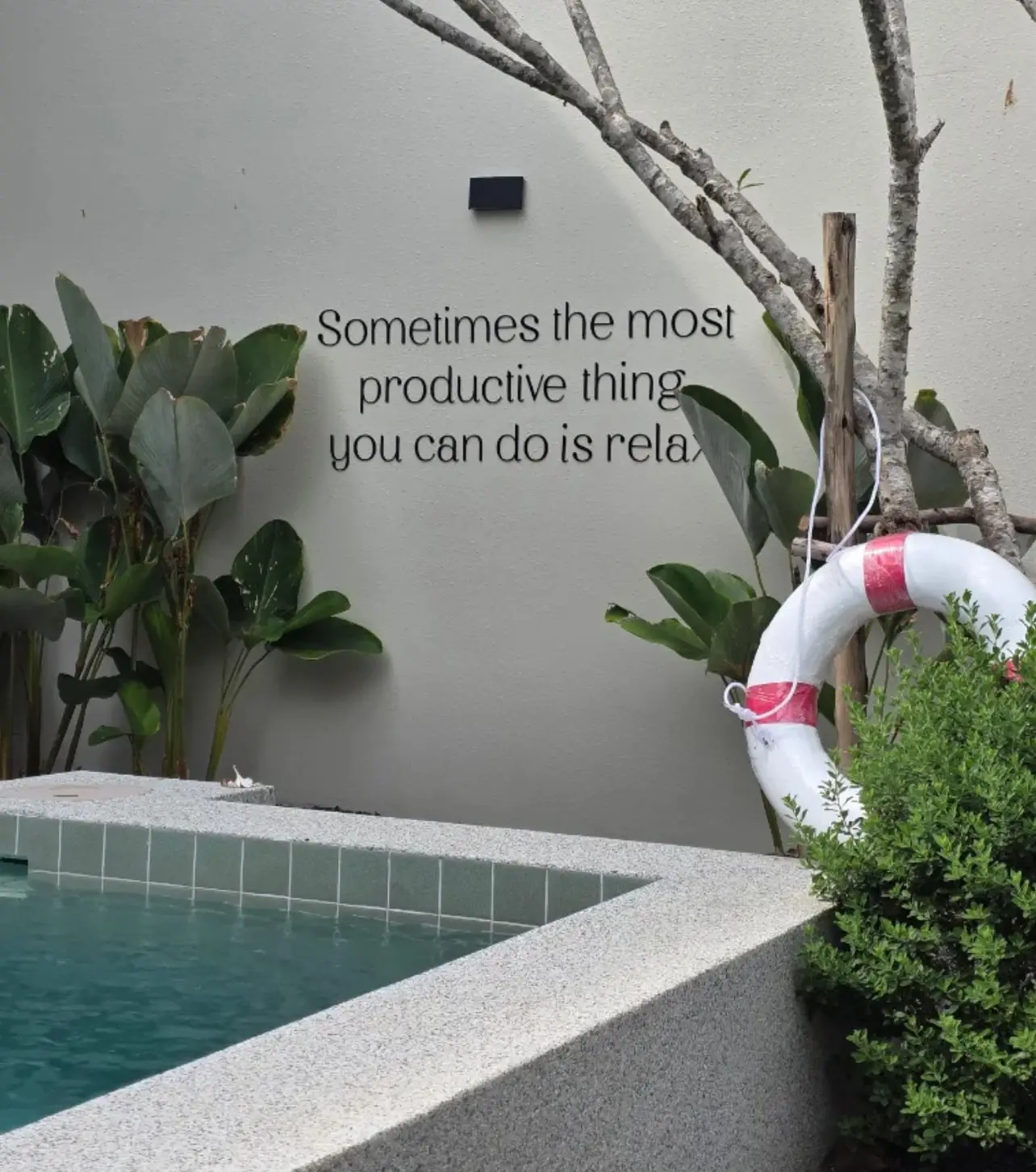 Pool corner and garden
