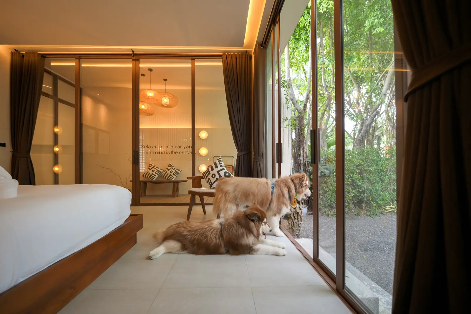 Dogs resting in a bedroom that opens onto the garden