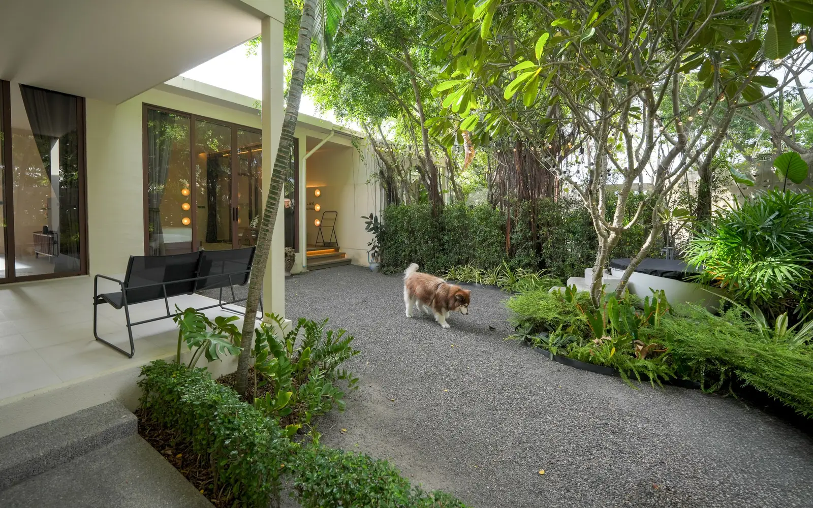 A dog in a fenced private garden